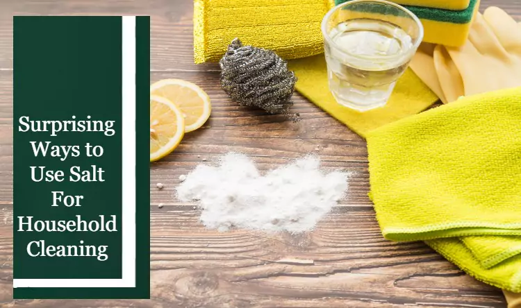 a picture is showing the natural ways of cleaning through salt and lemon