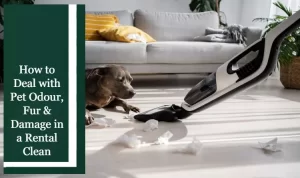 https://www.betterbondcleaning.com.au/wp-content/uploads/2025/10/full-shot-dog-looking-vacuum-cleaner-68f885b8ae676-300x178.webp