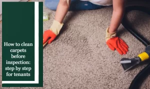 https://www.betterbondcleaning.com.au/wp-content/uploads/2025/12/Woman-in-protective-glove-cleaning-carpet-with-brush-300x178.webp