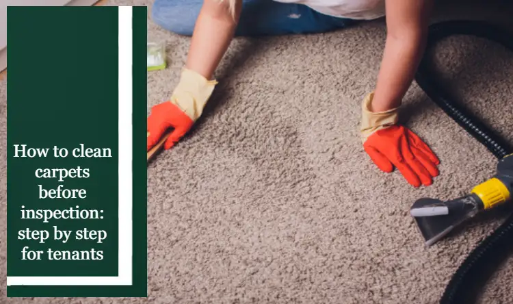 Woman in protective glove cleaning carpet with brush